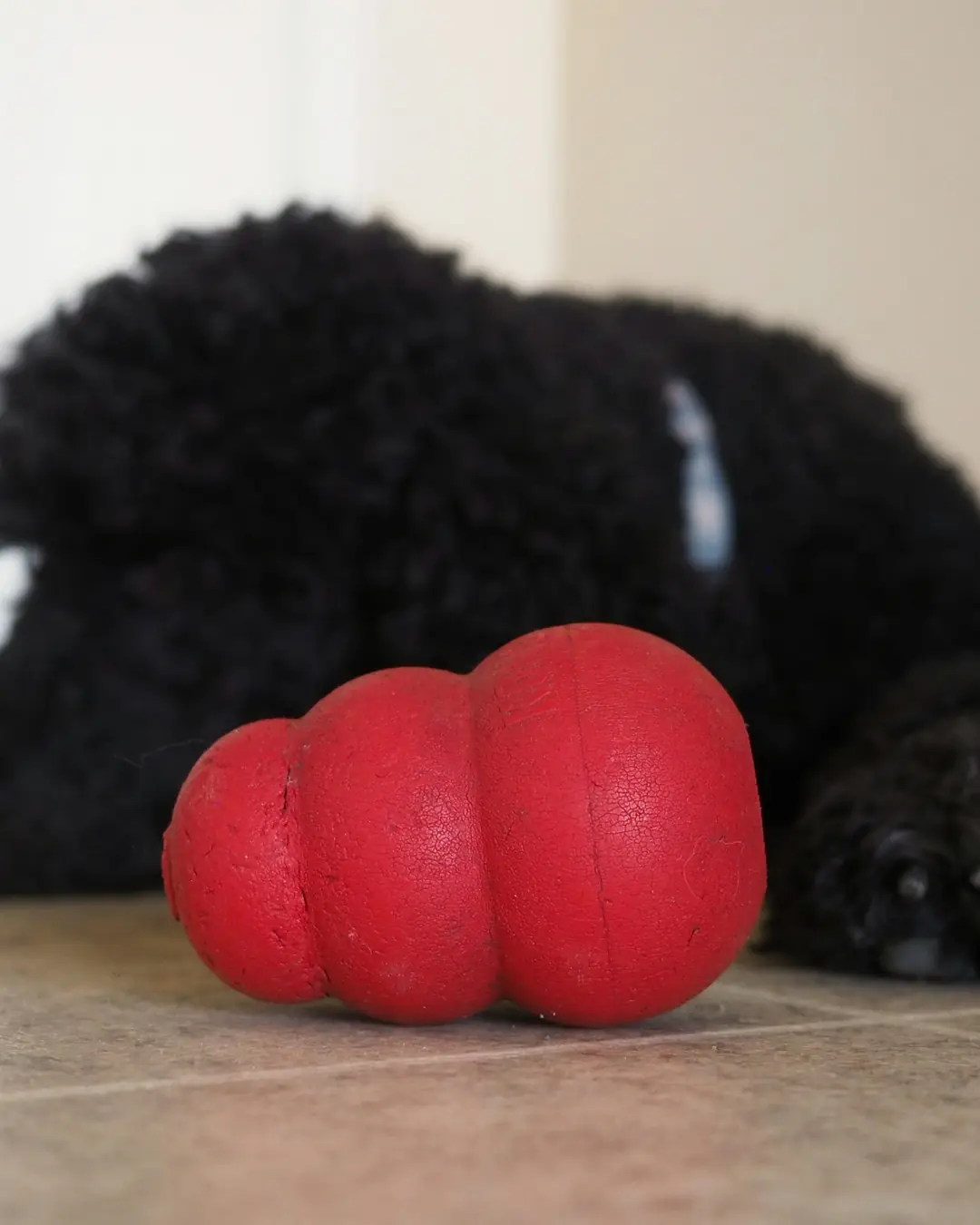 Fanø Pote Doldurulabilir Kauçuk Köpek Oyuncağı
