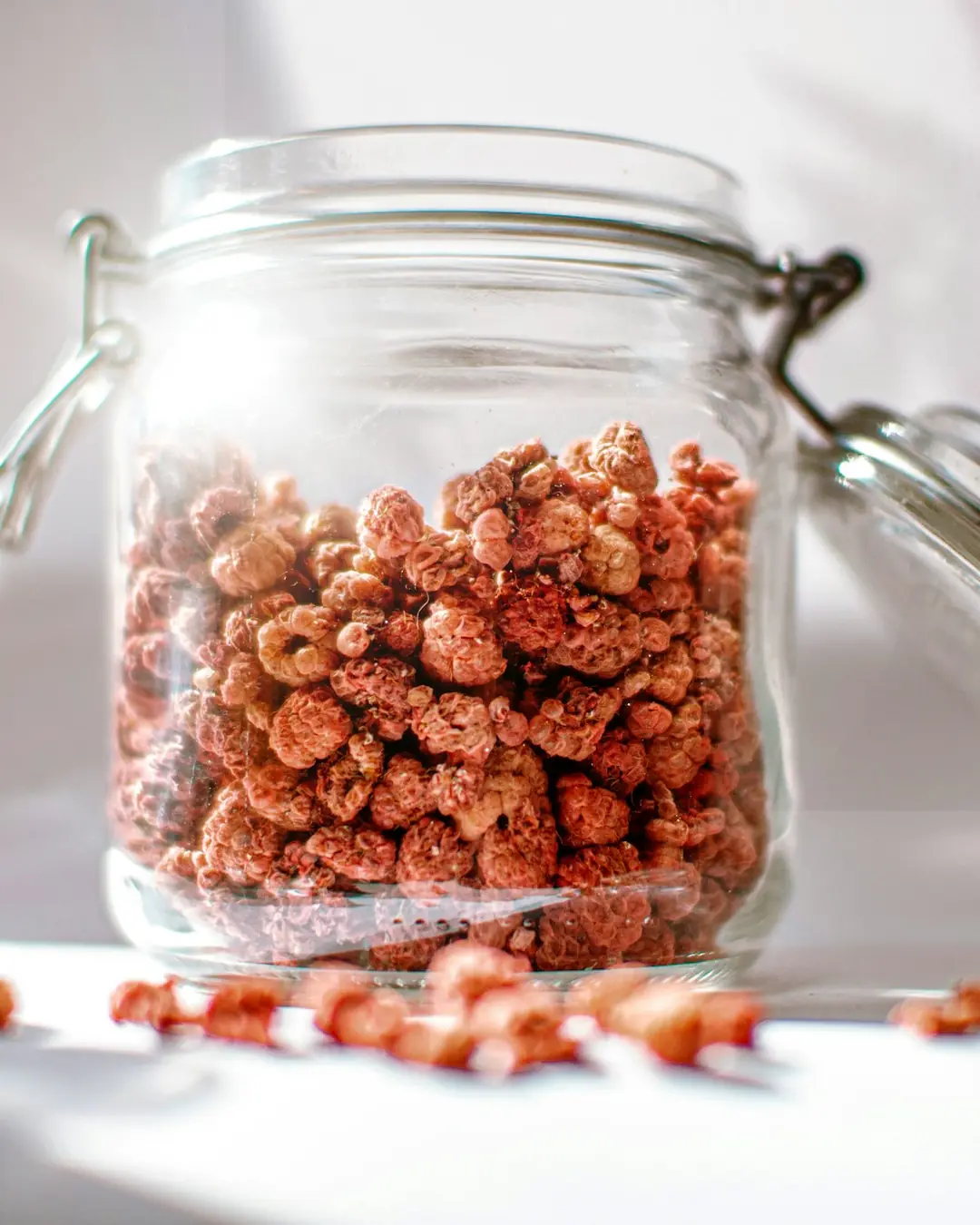 Samsø Snack Kemik Bisküvi Kavanozu 500 g