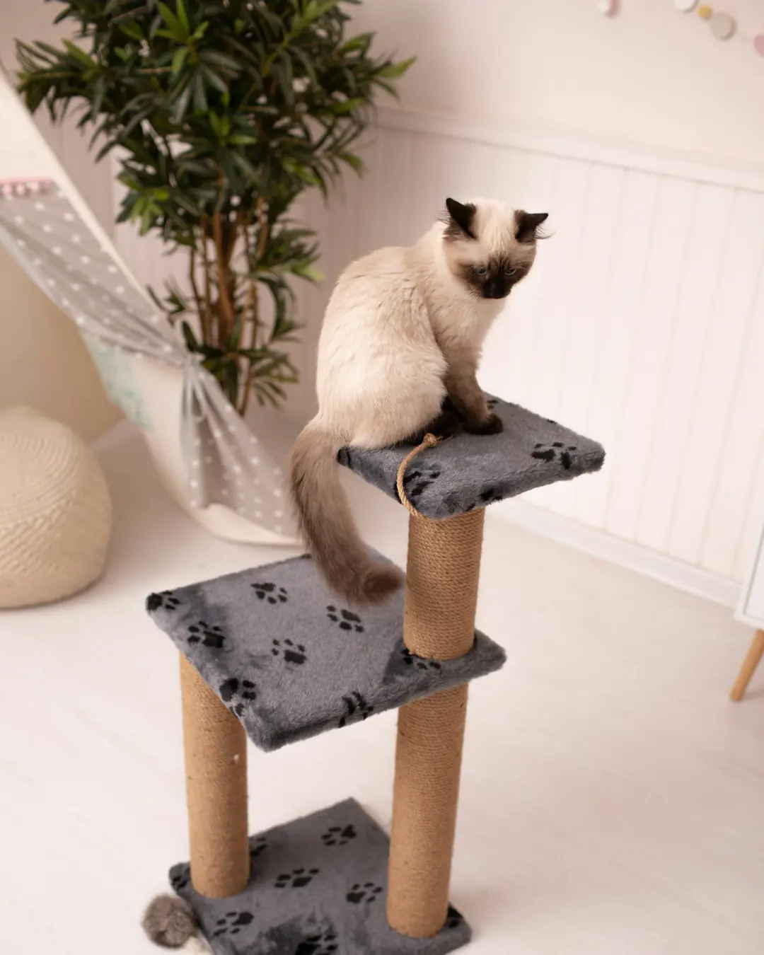 Fanø Pote İki Katlı Kedi Tırmalama Kulesi