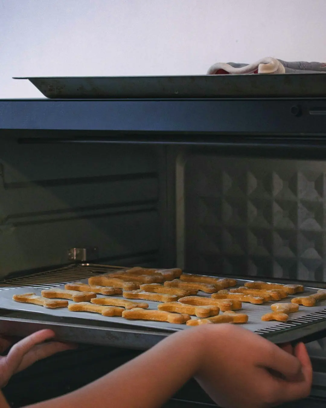 Samsø Snack Fırınlanmış Yulaflı Köpek Bisküvisi