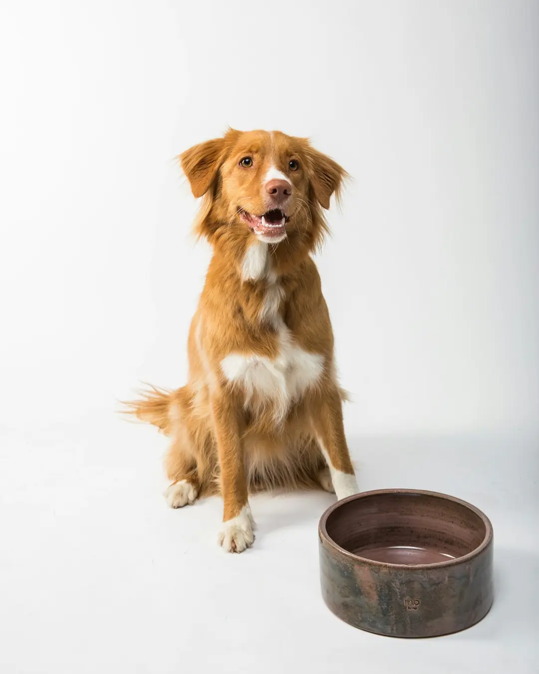 Fanø Pote Seramik Köpek Mama Kabı