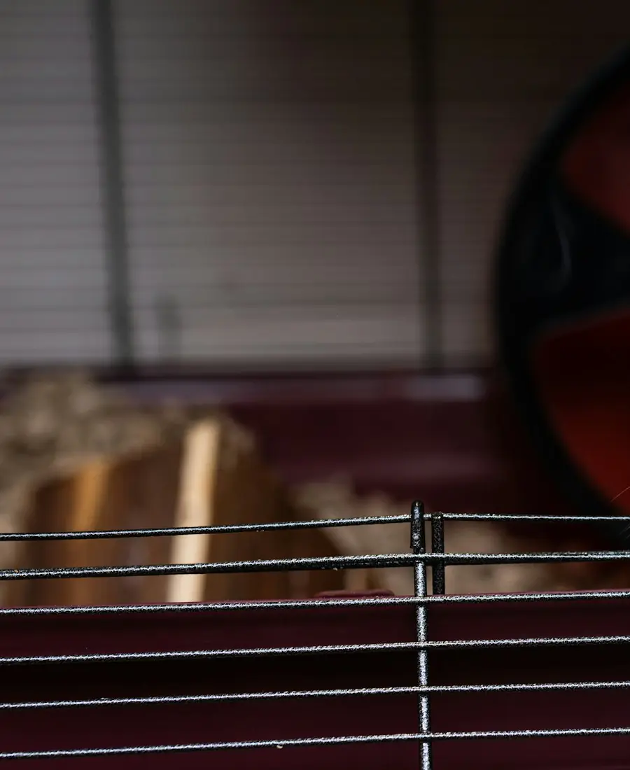 Ferah hamster kafeslerinde indirim